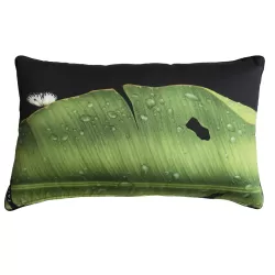 Freedom, Cuscino rettangola - Taitu