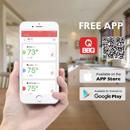 Termometro digitale IBT-6XS Smart - Inkbird