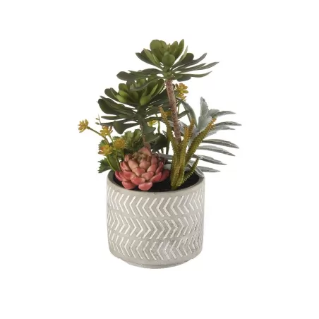 Composizione piante grasse grande Cm. 14x32 h. - L'oca Nera