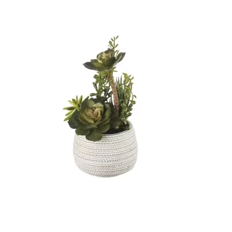 Composizione piante grasse piccola Cm. 13x25 h. - L'oca Nera