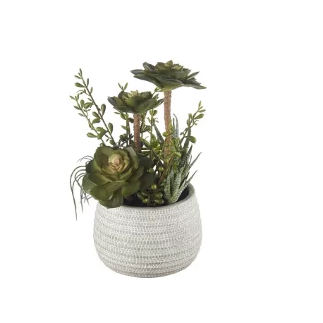 Composizione piante grasse grande Cm. 15,5x30 h. - L'oca Nera