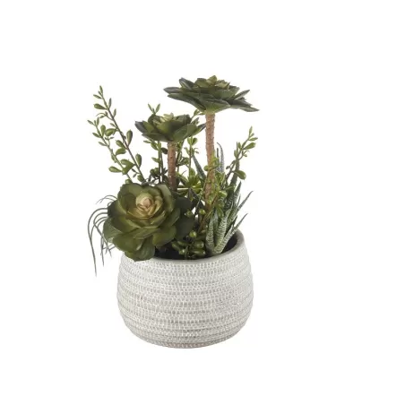 Composizione piante grasse grande Cm. 15,5x30 h. - L'oca Nera