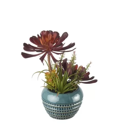 Composizione piante grasse piccola Cm. 14,5x30 h. - L'oca Nera