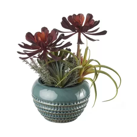 Composizione piante grasse grande Cm. 20x35 h. - L'oca Nera