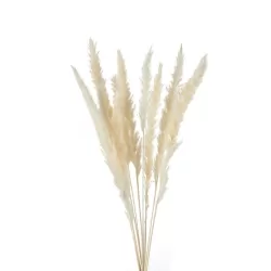 Mini Pampas Cm. 75 h. - L'oca Nera