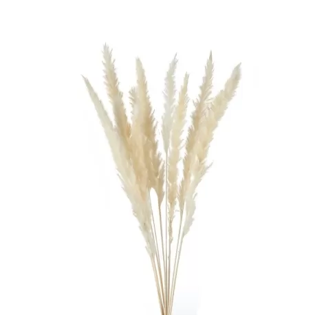 Mini Pampas Cm. 75 h. - L'oca Nera