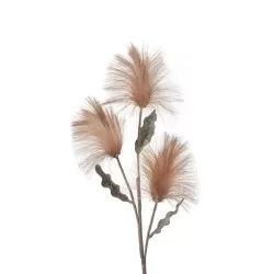 Callistemone bronzo Cm. 90 h. - L'oca Nera