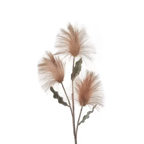 Callistemone bronzo Cm. 90 h. - L'oca Nera