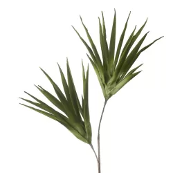 Aloe selvatico verde Cm. 100 h. - L'oca Nera