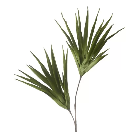 Aloe selvatico verde Cm. 100 h. - L'oca Nera