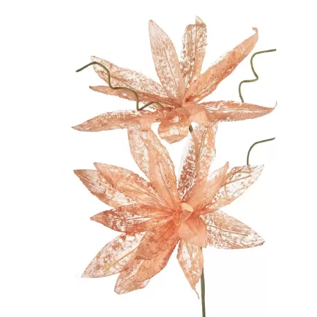 Magnolia porpurea arancio Cm. 95 h. - L'oca Nera