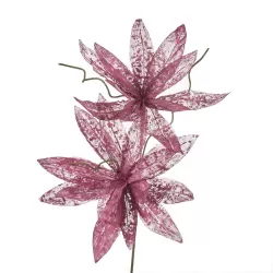 Magnolia porpurea ribes Cm. 95 h. - L'oca Nera