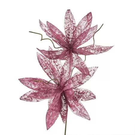 Magnolia porpurea ribes Cm. 95 h. - L'oca Nera