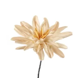 Dalia crema Cm. 73 h. - L'oca Nera