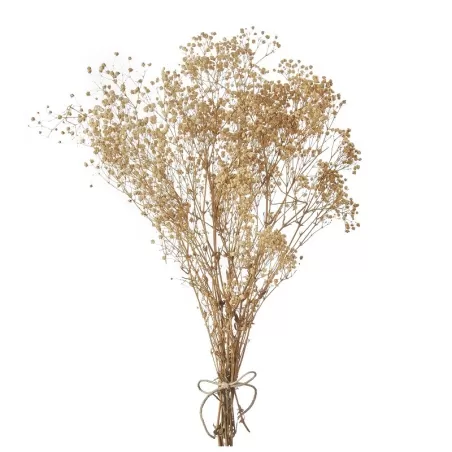 Gipsofila bianco Cm. 75 h. - L'oca Nera