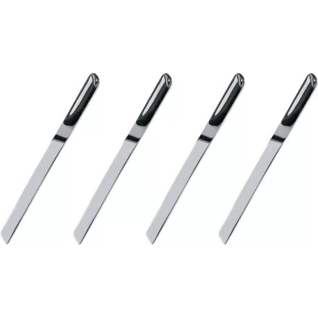 Set di quattro cucchiaini da caffè