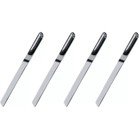 Set di quattro cucchiaini da caffè