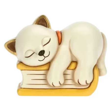 Gatto su libro, medio - Thun