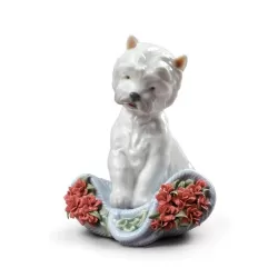 Cane carattere giocherellone (garofani) - Lladrò