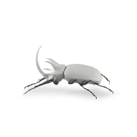 Scarabeo Rinoceronte (bianco mate) - Lladrò