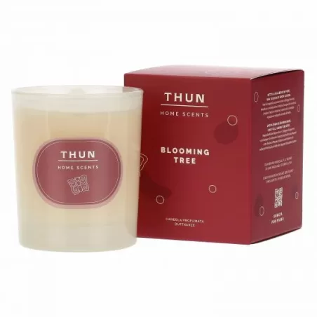 Candela Blooming Tree, media - Thun