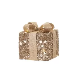 Doni di stelle, Pacco piccolo con 10 led - L'oca Nera