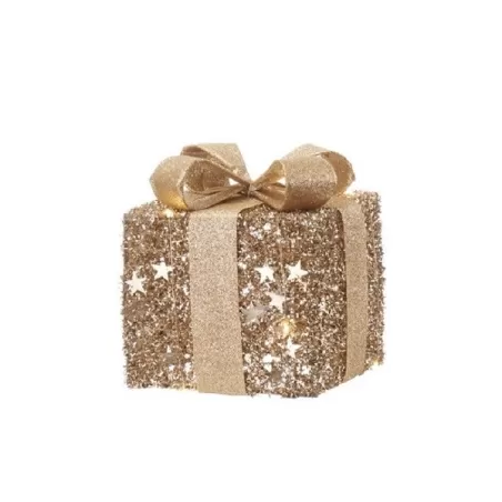 Doni di stelle, Pacco piccolo con 10 led - L'oca Nera