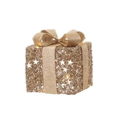 Doni di stelle, Pacco medio con 20 led - L'oca Nera