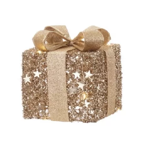 Doni di stelle, Pacco grande con 20 led - L'oca Nera