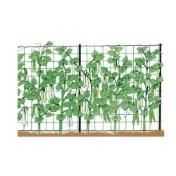 Rete per rampicanti Mt.1,5x10