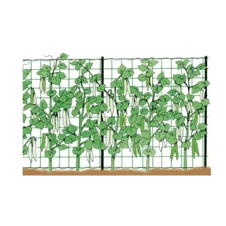 Rete per rampicanti Mt.1,5x10