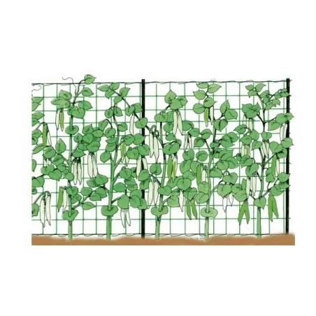 Rete per rampicanti Mt.1,5x10