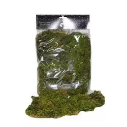 Muschio naturale Gr.100