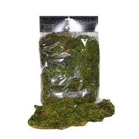 Muschio naturale Gr.100
