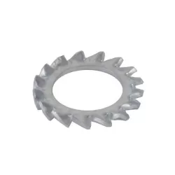 Rondella dentellata Mm.6