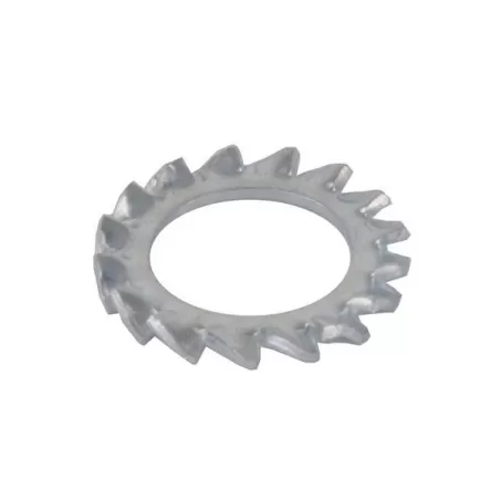 Rondella dentellata Mm.6