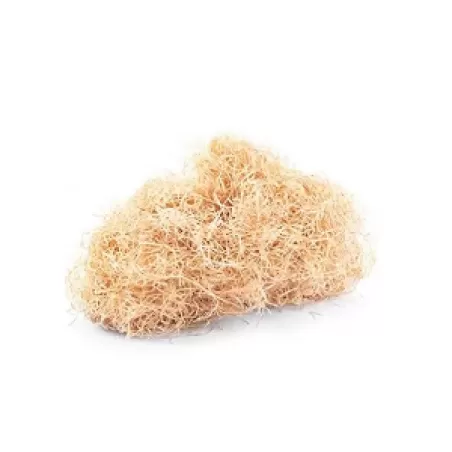 Paglietta in legno Gr.100