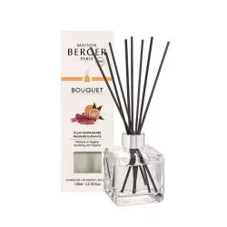 Bouquet Parfumé Cube Eclat de Rhubarbe / Frammento di Rabarbaro - Lampe Berger