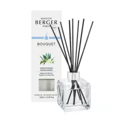 Bouquet Parfumé Cube Jardin d'Agaves / Giardino dell'Agave - Lampe Berger