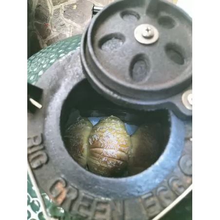 Corso Barbecue a Bergamo - BBQ