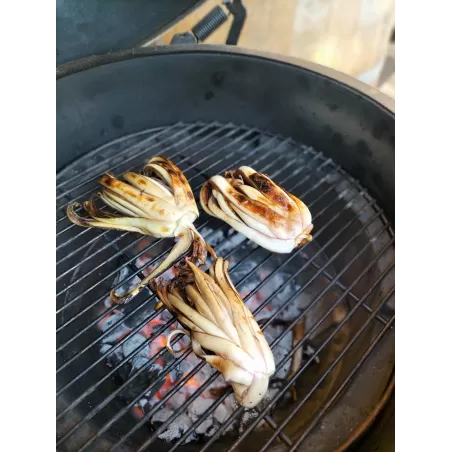 Corso Barbecue a Bergamo - BBQ