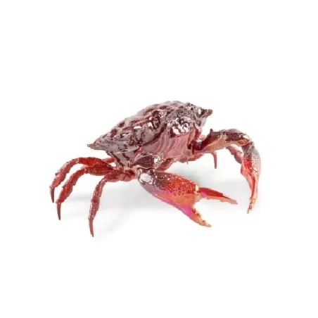 Granchio (rosso) - Lladro