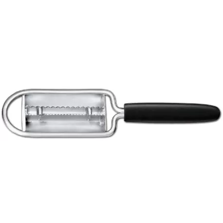 Squamapesce - Sanelli Ambrogio