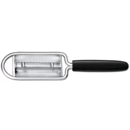 Squamapesce - Sanelli Ambrogio