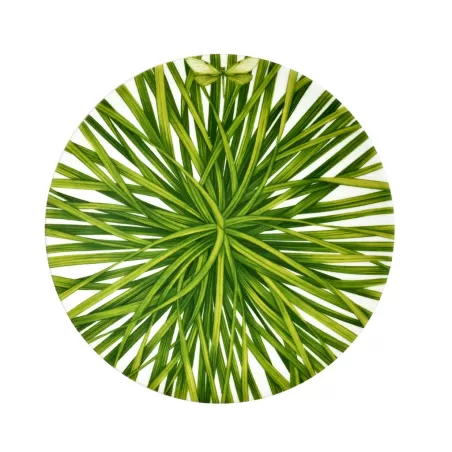 Life In Green, Piatto Frutta - Taitu