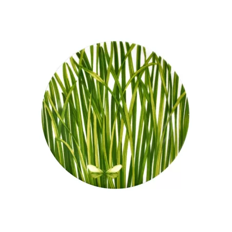 Life In Green, Piatto pane - Taitu