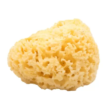 Spugna naturale, Wellness Products - La Savonnerie de Nyons