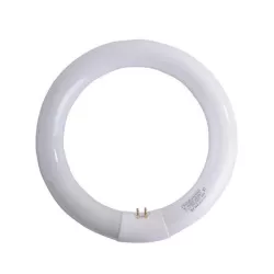 Lampadina fluorescente circolare 22 w