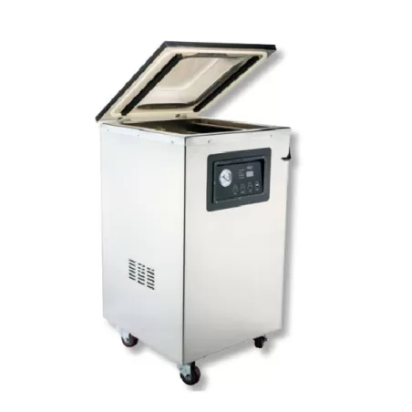 Campana alta per sottovuoto a pompa d'olio - Vesta