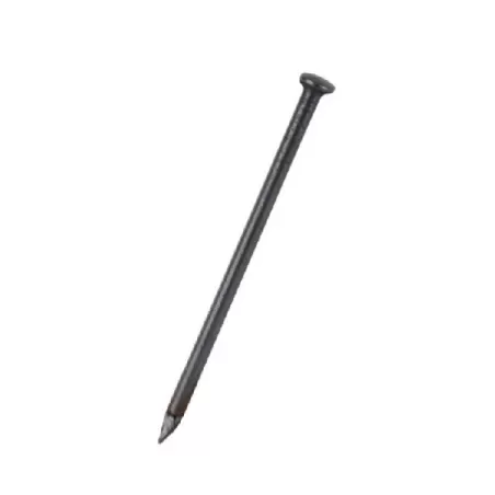 Chiodi acciaio tesa bombata Mm.3,0x40 Hg.1